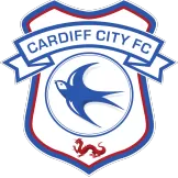 Cardiff City - camisaatitude