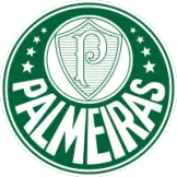 SE Palmeiras - camisaatitude