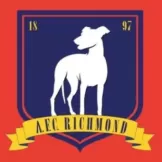 AFC Richmond - camisaatitude