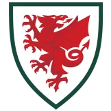 Wales - camisaatitude